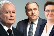 pis, sondaż, poparcie, kaczyńki, lubnauer, schetyna, 