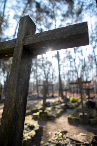 Cmentarz leśny w Laskach