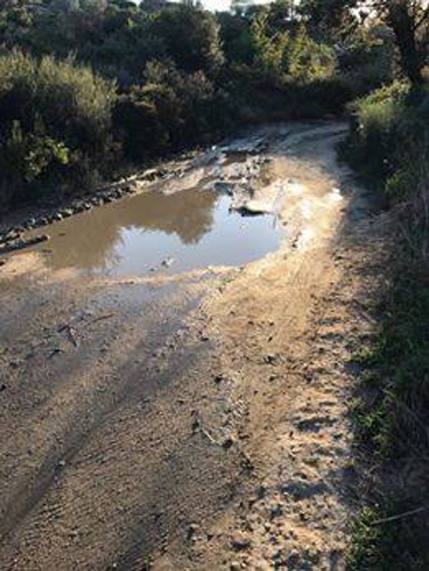 Preko blata do plaže ako ne želiš da platiš 10 evra po ležaljci