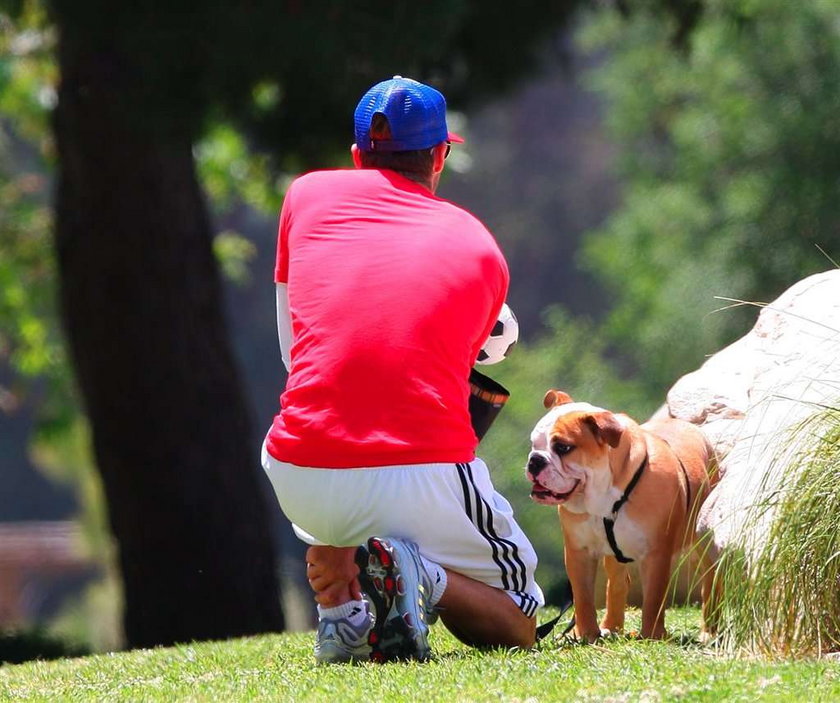 Beckham uczy psa grać w piłkę
