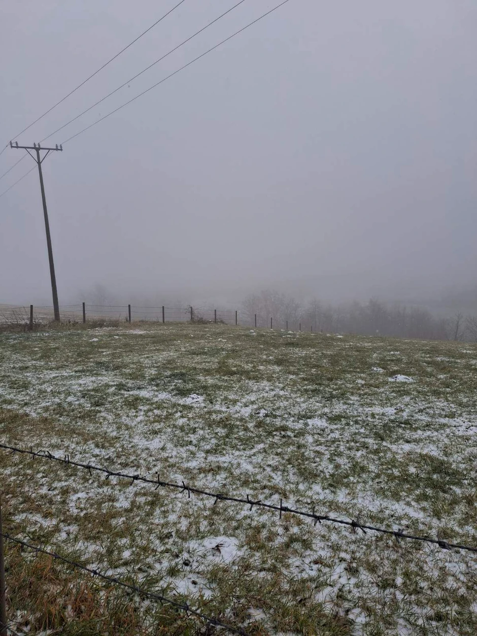 Magla i malo snega danas na Zlatiboru