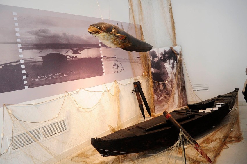 Preparirani som i ribarski čamac