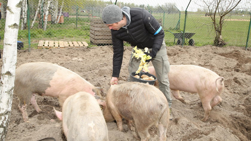 Marcin Dorociński w schronisku