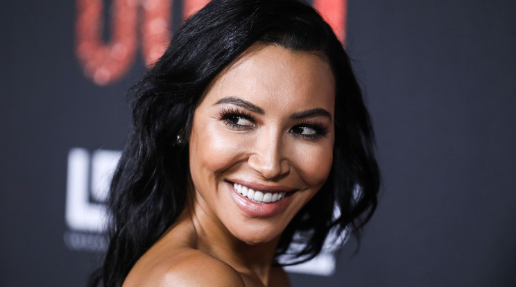 Naya Rivera-Northfoto