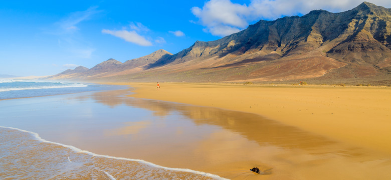 Fuerteventura. Wśród kwiatów hibiskusa i aloesu