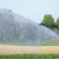 Rolnicy apelują o ogłoszenie stanu klęski żywiołowej. Jedną z przeszkód są wybory samorządowe