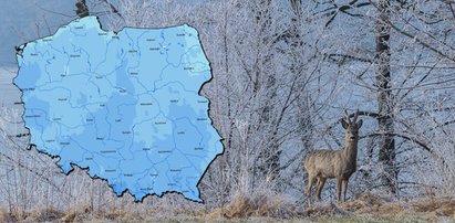 Kwiecień, w ślad za marcem, idzie na rekord. Ale tym razem w grze jest wyjątkowe zimno