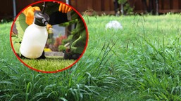 bayer-odszkodowania-roundup-37,6-mld-zl-ugoda-glifosat