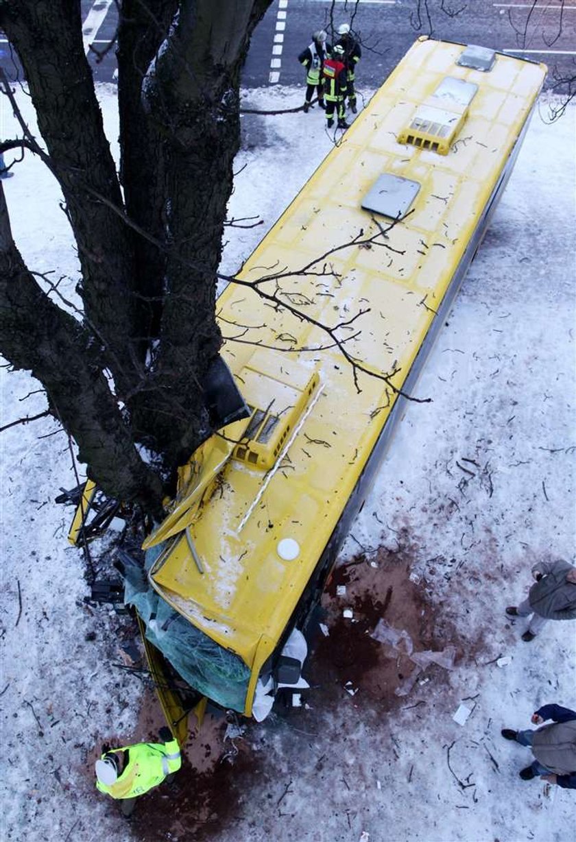 Horror! Autobus z dziećmi wjechał w drzewo