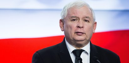 Prezes PiS nie stanie przed Trybunałem