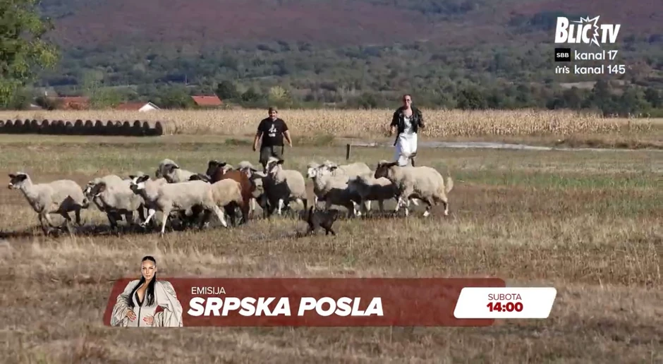 Srpska posla