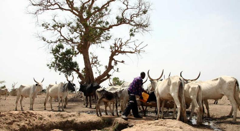 Buhari task governors to find lasting solutions to farmers/herdsmen crisis