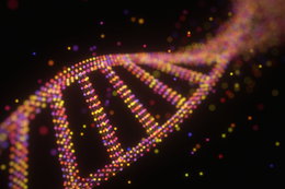Naukowcy odkryli nowe geny odpowiedzialne za inteligencję