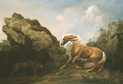 "Koń zaatakowany przez lwa" autorstwa George'a Stubbsa
