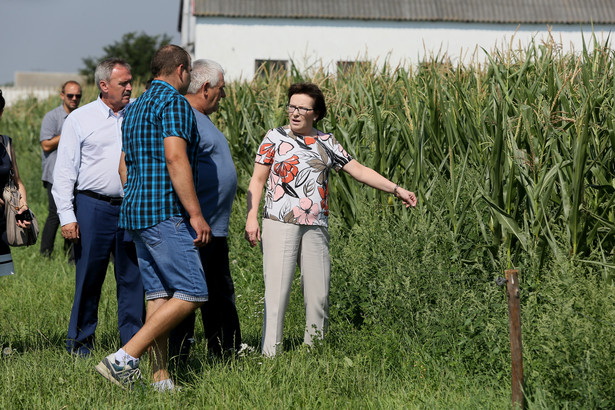 Kopacz broni nowego Rzecznika Praw Obywatelskich: Niech prawica nie narzeka