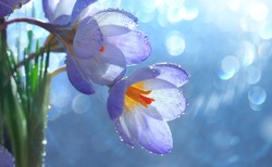 Sezon na alergie rozpoczęty. Jak się chronić? [WIDEO]