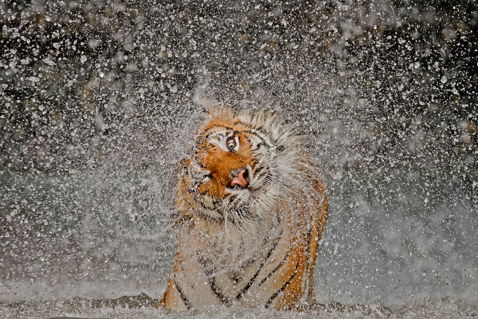 National Geographic Photography Contest 2012