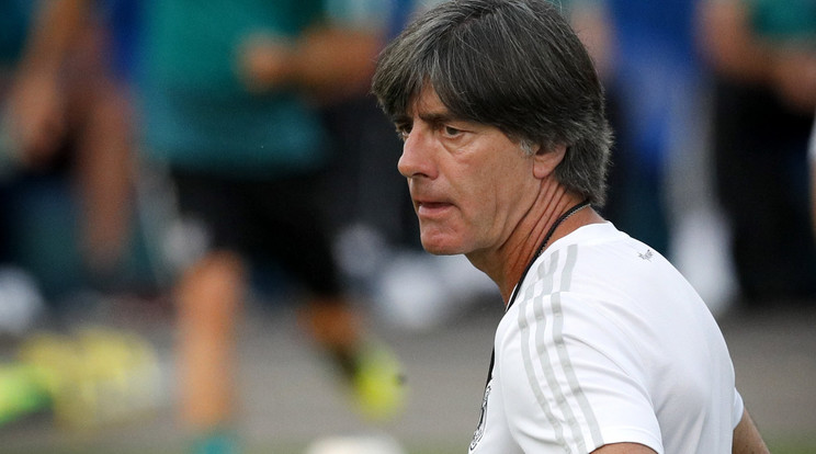 Joachim Löw csapata csúfos vereséget szenvedett /Fotó: MTI/EPA/ Robert Ghement