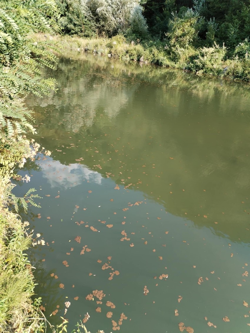 Rekom Tripušnicom plutaju fekalije