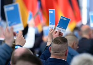 Delegati AfD na partijskoj konferenciji u Magdeburgu u Saksoniji-Anhalt 11. aprila