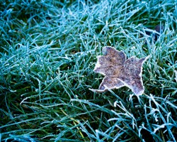 To będzie zimna noc. IMGW ostrzega przed przymrozkami