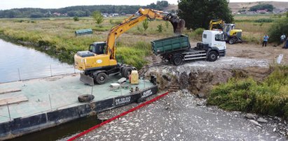 Katastrofa ekologiczna w Odrze. Wojewoda zachodniopomorski: Jest gorzej. Wydobyto ok. 16 ton śniętych ryb