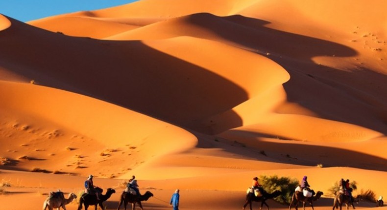 Camel trekking across Sahara Desert in morocco