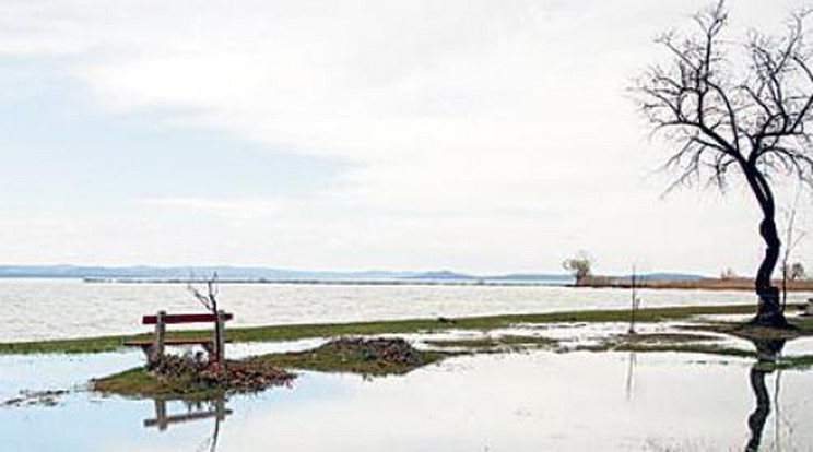 Újra kiöntött a Balaton