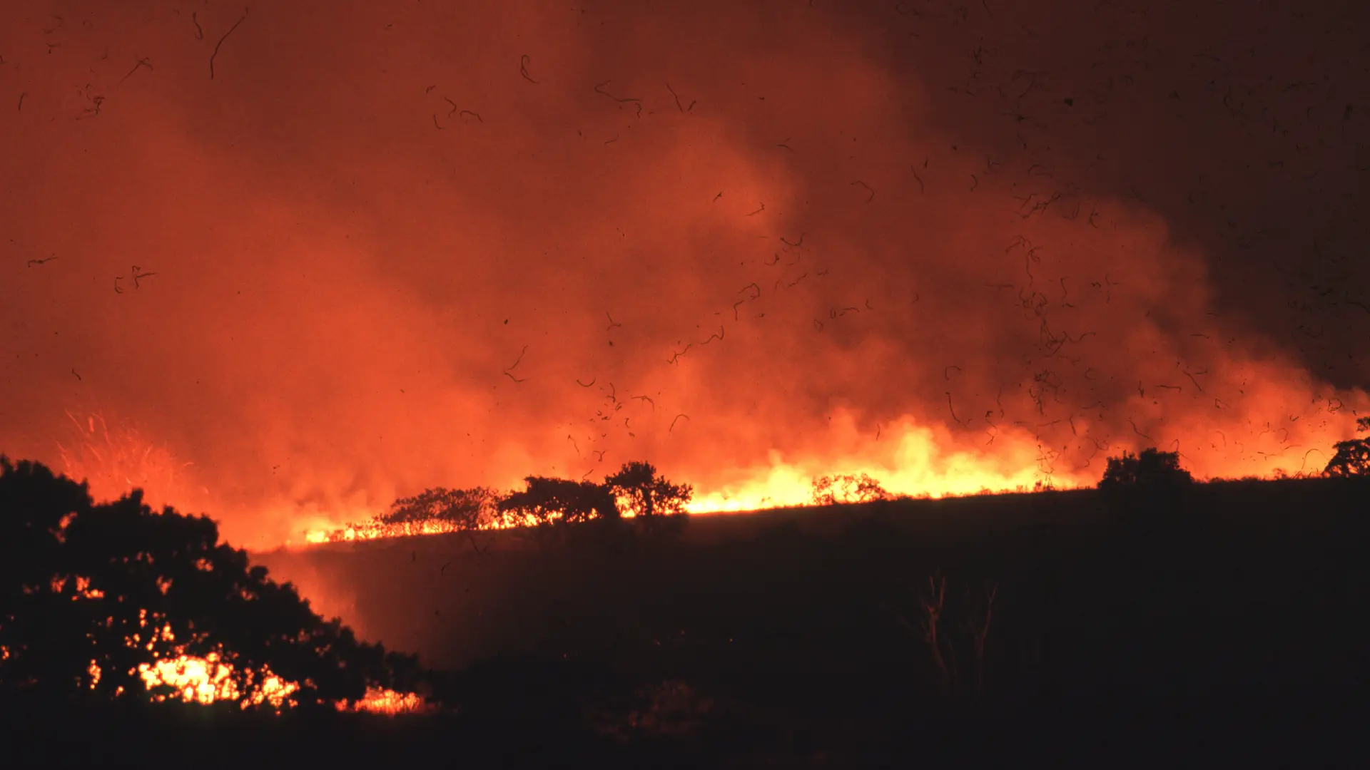 Nowy raport IPCC. Albo szybko zmienimy system, albo czeka nas więcej pożarów i powodzi