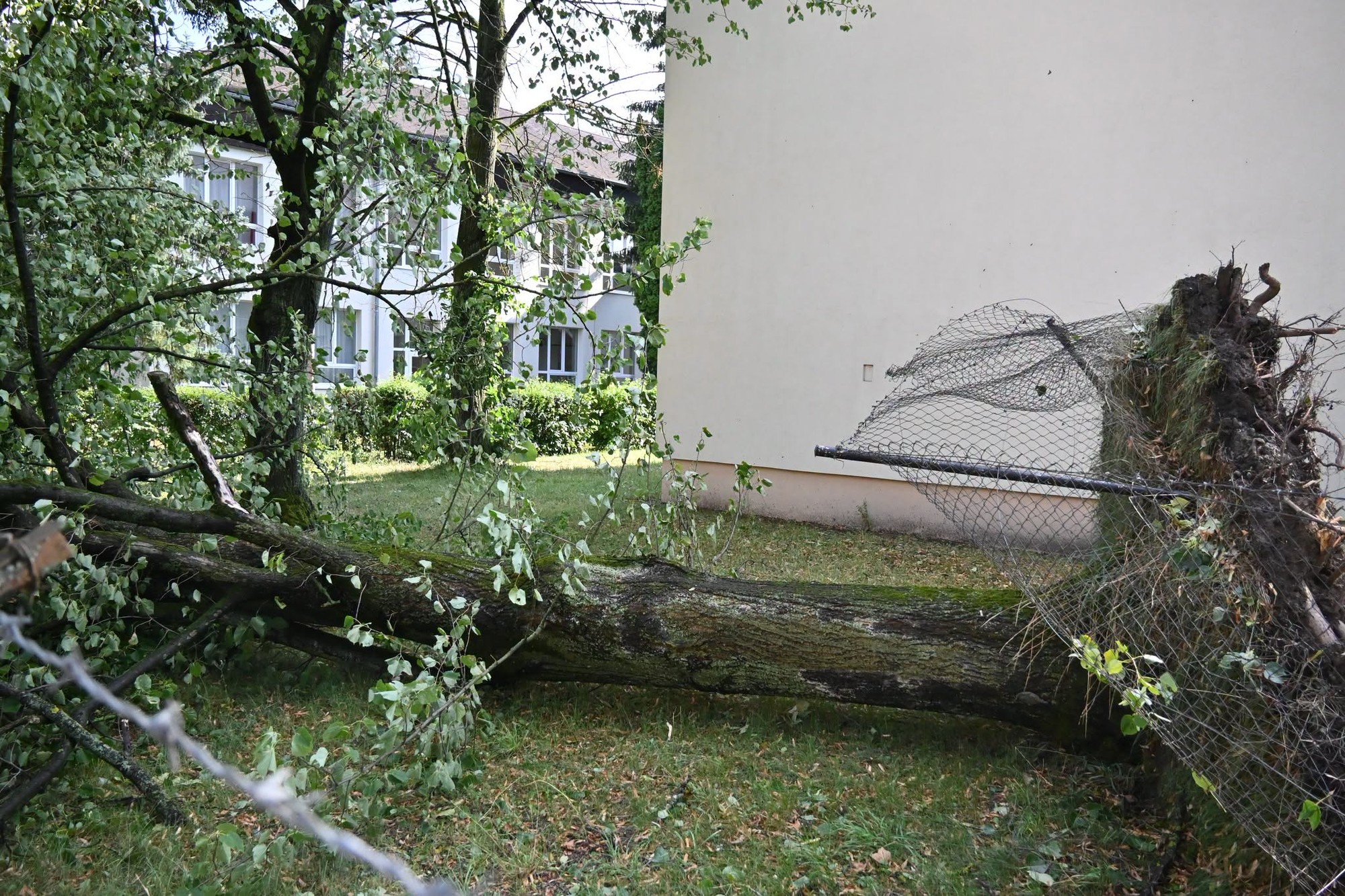 Humenné zasiahla silná búrka s krupobitím, vyvracala stromy a zaplavila ulice.