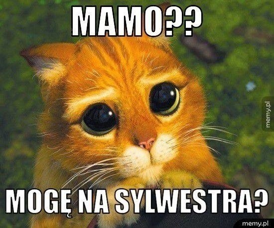 Przywitaj Nowy Rok z humorem — memy o Sylwestrze