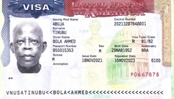 Tinubu's valid American visa surfaces amid denial rumours