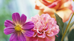 Mit 4: sztuczne kwiaty nie zdobią