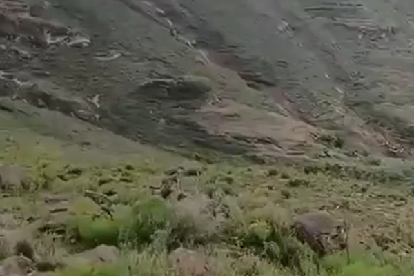 Senida prekinula nastup zbog Halida Bešlića