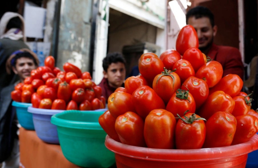 Pomidor pomidorowi nierówny. Warzywa różnią się kształtem, kolorem i rozmiarem. fot. Mohammed Hamoud/Getty Images
