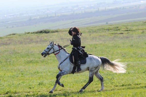 vucic lihacov 20211119 tanjug zoran zestic beograd Di023206144 preview