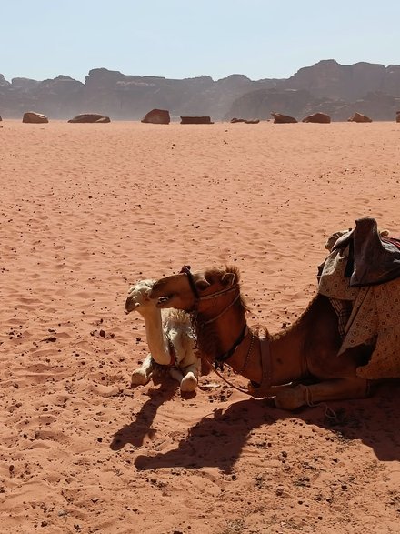 Wadi Rum Jordania
