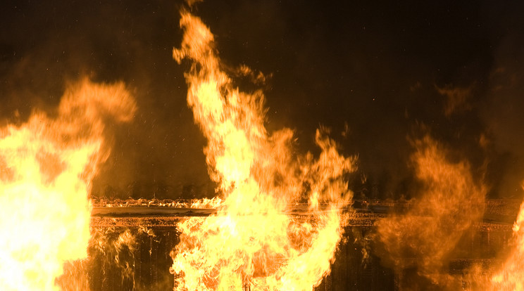 Az ötödikről kiugrott macska sértetlenül ért földet. /Illusztráció: Northfoto