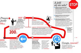 Chcesz mieć prawo jazdy? Musisz nauczyć się jeździć ekonomicznie