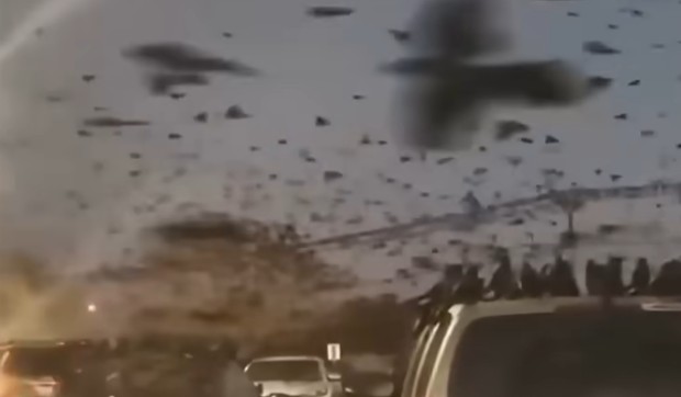 Apokaliptične scene u Tel Avivu