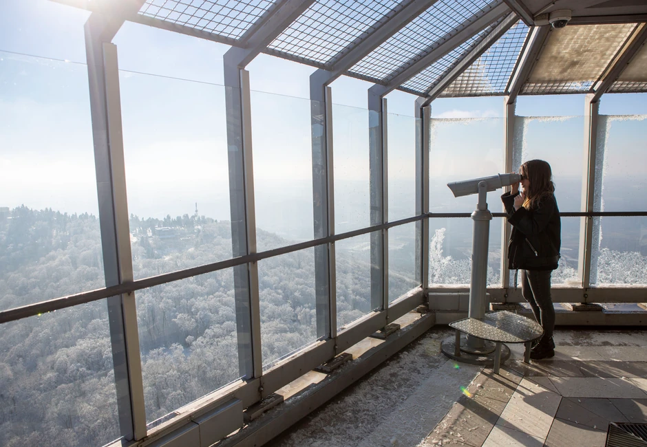Avala, simbol Beograda, nudi bogatstvo biljnih vrsta
