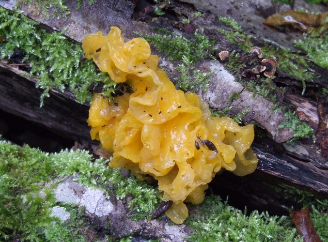 Uroki Puszczy Białowieskiej © www.tydecydujesz.orgFot. Jacek Winiarski