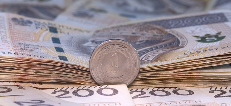 Dotacje do 50 tys. zł. Ruszył nabór 2025