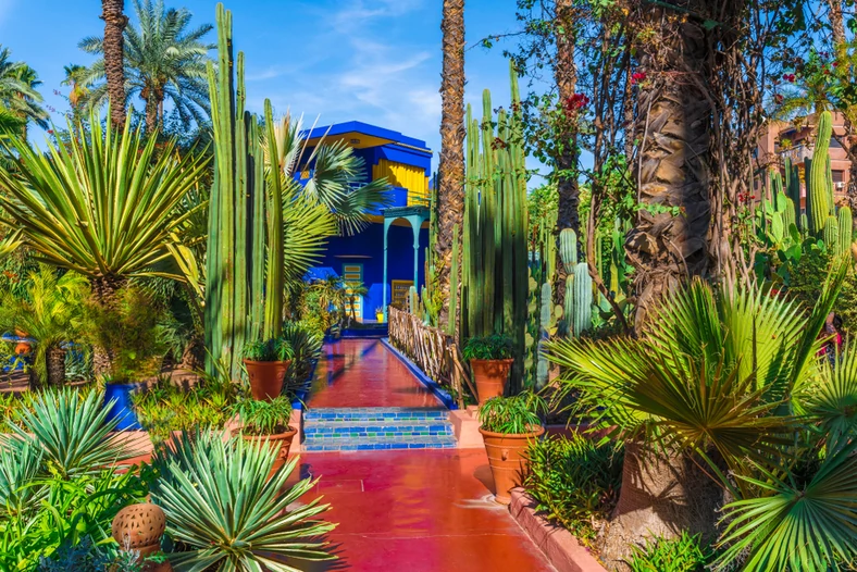 Ogrody Jardin Majorelle, Marrakesz