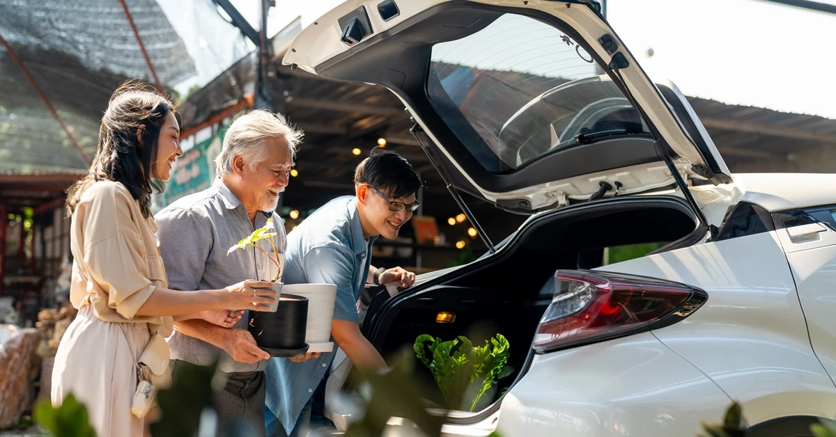 Czy można przywieźć roślinę z wakacji? [Prawo UE]