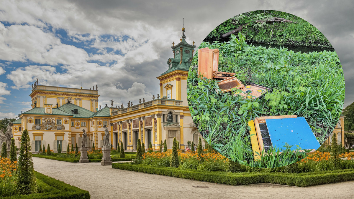 Ktoś zdewastował pasiekę w Muzeum Pałacu Króla Jana III w Wilanowie. Do roztrzaskania uli użyto gaśnic