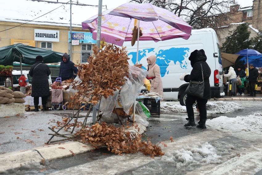 Prodaja badnjaka na Bajloni pijaci