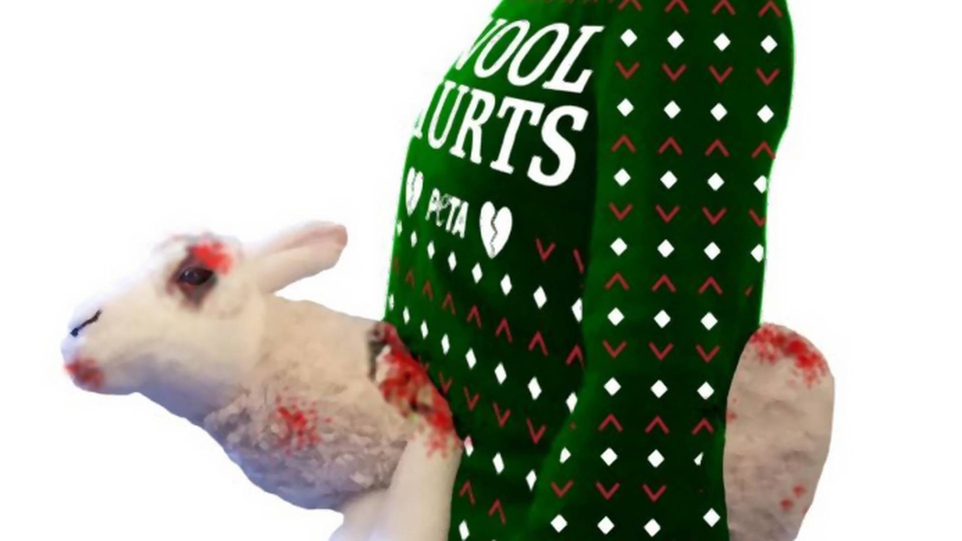PETA wprowadziła do sprzedaży świąteczny sweter z zakrwawiona owcą. "Wełna boli"