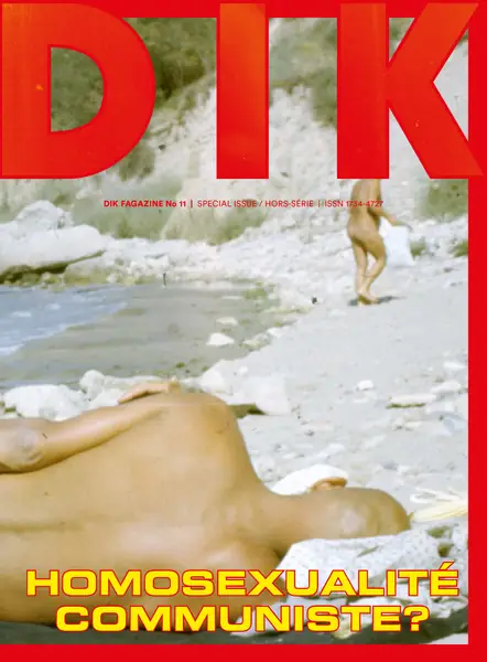 DIK Fagazine, nr 11, 2017