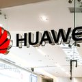 Huawei ze wzrostem przychodów w pierwszej połowie 2019 roku mimo sankcji USA